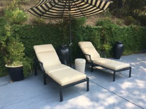 Sunbrella Posh Sunshine Chaise Lounge